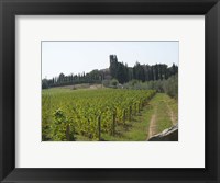 Framed Tuscany 1