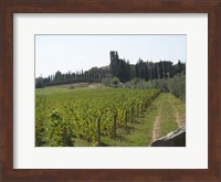 Framed Tuscany 1
