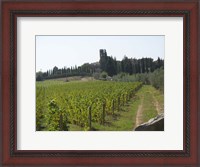 Framed Tuscany 1