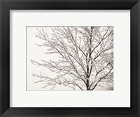 Framed Winter Serenity