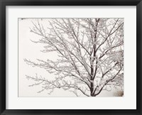 Framed Winter Serenity