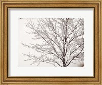 Framed Winter Serenity