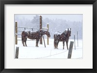 Framed Snowy Corral