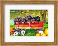 Framed 8 Lab Puppies