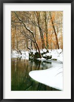 Framed Serene Creek