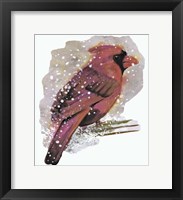 Framed Cardinal Bird in the Snow