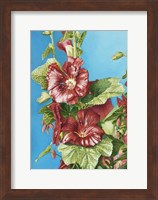 Framed Red Holly