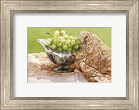 Framed Dancing Loon Grapes