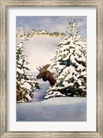 Framed Moose Moment