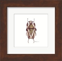 Framed Bug #10