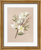 Framed Spring Magnolias