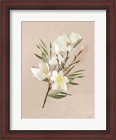 Framed Spring Magnolias