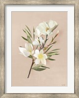 Framed Spring Magnolias