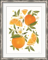 Framed Citrus Orange Botanical