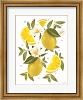 Framed Citrus Lemon Botanical
