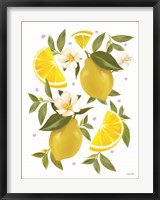 Framed Citrus Lemon Botanical