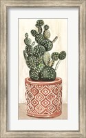 Framed Cactus in Pot 1