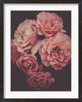 Framed Dreamy Roses