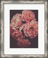 Framed Dreamy Roses