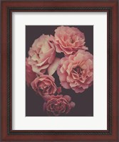 Framed Dreamy Roses