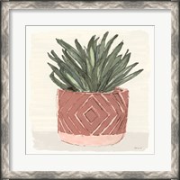 Framed Agave 2