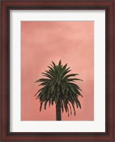 Framed Pink Palm