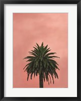 Framed Pink Palm