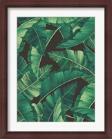 Framed Tropical Leaves II