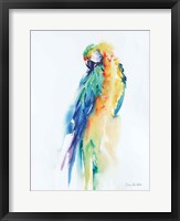 Framed Colorful Parrots II