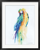 Framed Colorful Parrots II