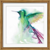 Framed Hummingbirds III