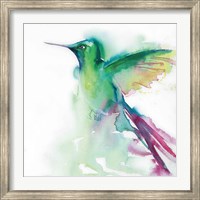 Framed Hummingbirds III