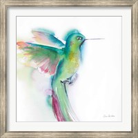 Framed Hummingbirds II