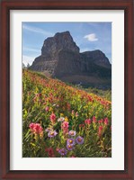 Framed Boulder Pass Wildflowers