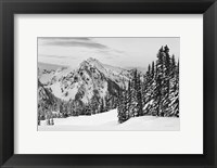 Framed Tatoosh Range BW