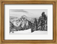 Framed Tatoosh Range BW