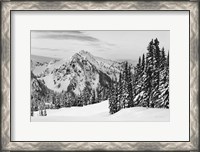 Framed Tatoosh Range BW