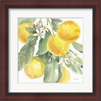 Framed 'Citrus Charm Lemons II' border=