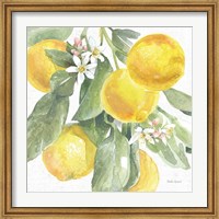 Framed Citrus Charm Lemons II