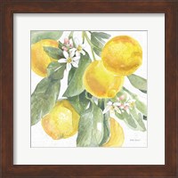 Framed Citrus Charm Lemons II