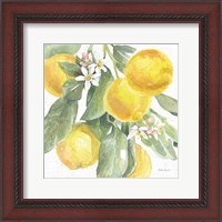 Framed Citrus Charm Lemons II