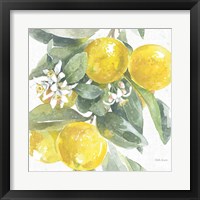 Framed 'Citrus Charm Lemons I' border=