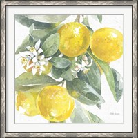 Framed Citrus Charm Lemons I