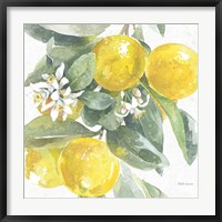 Framed Citrus Charm Lemons I