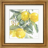 Framed Citrus Charm Lemons I