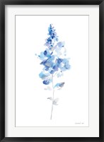 Flower Study I Framed Print