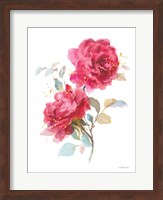 Framed Bold Roses II