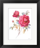 Framed Bold Roses I