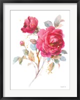 Bold Roses I Framed Print