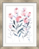 Framed All the Protea